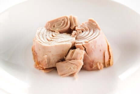 برغر التونة