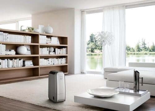 مزيل الرطوبة