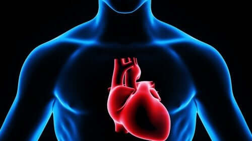 كيفية استخدام الحقن القلبية