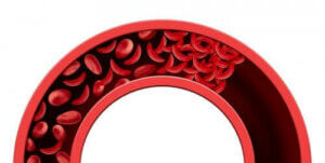 تحسين الدورة الدموية بمكونات طبيعية بالكامل