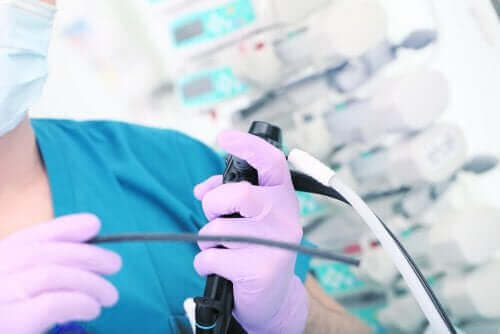 أنبوب التغذية