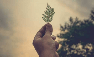 كيف تستطيع تقديم المساعدة خلال الأزمة الحالية؟