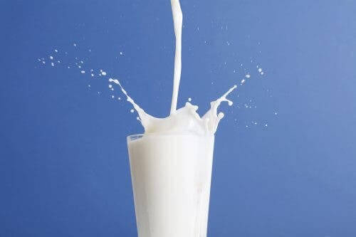 الحليب كامل الدسم والحليب قليل الدسم – أيهما أفضل؟