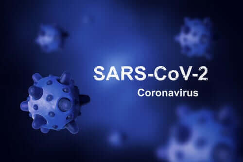 ما هو أصل فيروس كورونا ولماذا لم نتمكن من القضاء عليه حتى الآن؟