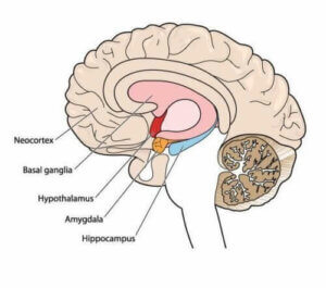 أمراض الكنع الخلقية - اكتشف معنا المزيد عن هذا الاضطراب الحركي