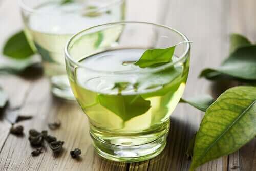 نباتات طبية - شاي أخضر