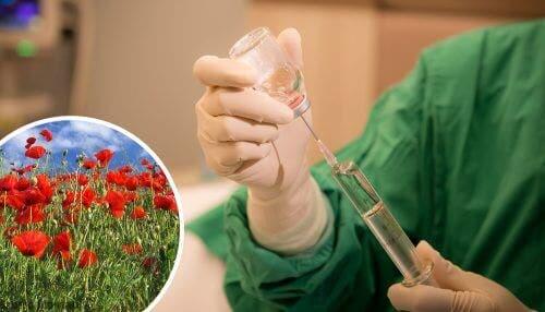 الترامادول دواء أفيوني