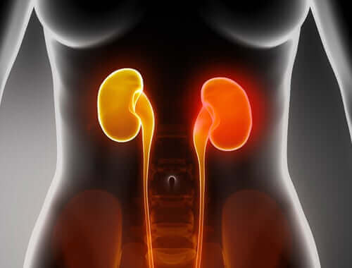 مسببات فرط فوسفاتات الدم