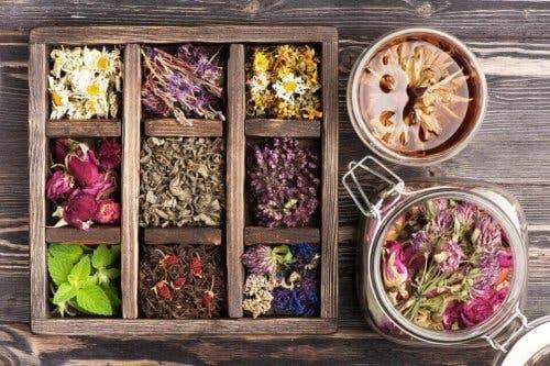 التداوي بالأعشاب وفوائده