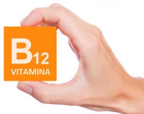 فيتامين ب12