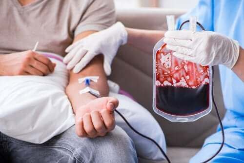 نقل الدم - اكتشف المزيد عن العملية والغرض منها