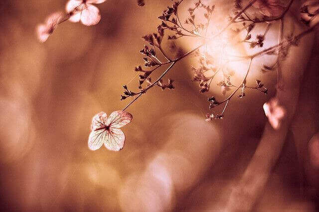 مواجهة المعاملة السيئة