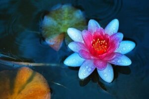 5 أشياء يجب أن تسمح لنفسك بها إذا كان هناك من يعاملك بشكل سيء