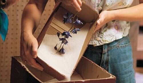 هلام السيليكا وتجفيف الأزهار