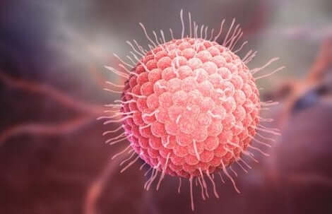 ما هي طرق انتشار الفيروسات الأساسية؟