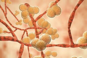 كل ما تحتاج إلى معرفته عن فطر داء البقع البيضاء