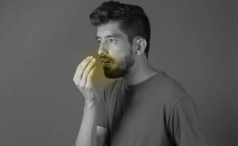 فوائد الحبهان