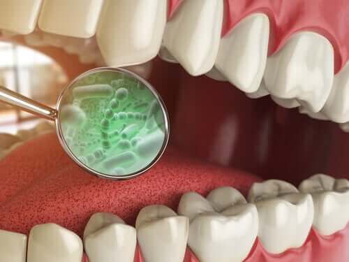 أنواع البكتيريا الموجودة في الفم