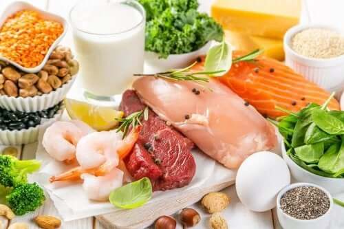 الفيتامينات وعملية إنتاج الطاقة
