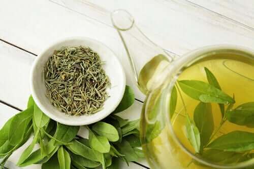 الشاي الأخضر - اكتشف معنا فوائده الصحية الرائعة
