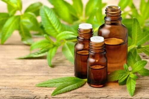 الزيوت الأساسية