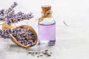 أفضل 6 نباتات طبية بالأدلة العلمية