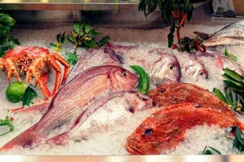 الزئبق في الأسماك - تأثيره على الصحة والأسماك التي يجب تجنبها