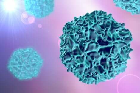 فيروس شلل الأطفال