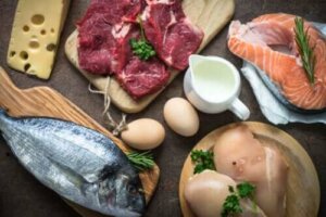 ما سبب الأهمية القصوى لاستهلاك البروتين؟