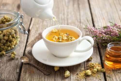 شاي الكاموميل - اكتشف معنا خصائصه وفوائده الصحية