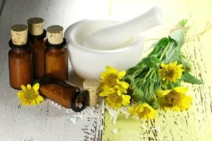 زهرة العطاس: الفوائد وموانع الاستخدام
