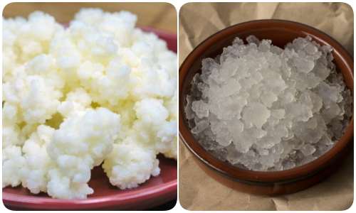 وصفة إعداد الكفير