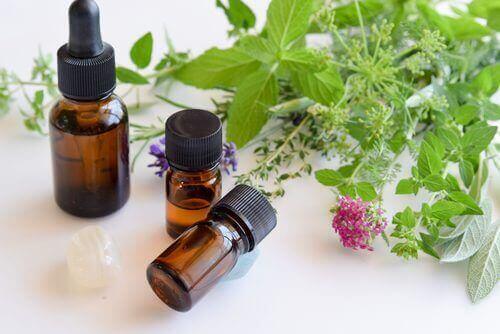 زيت الأوريجانو