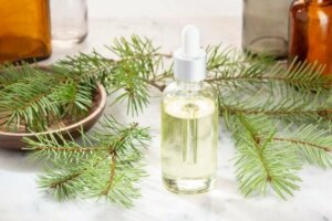 زيت الصنوبر - اكتشف كيفية استعماله لتخفيف أعراض نزلة البرد