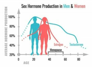 ما الذي تقوم به الهرمونات الجنسية في أجسامنا؟