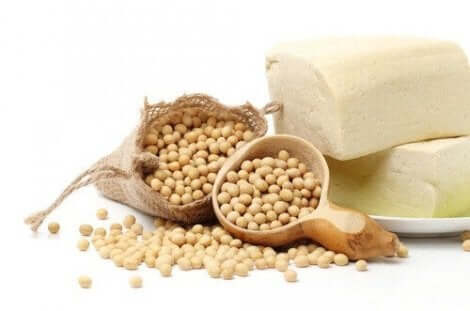 حبوب الصويا