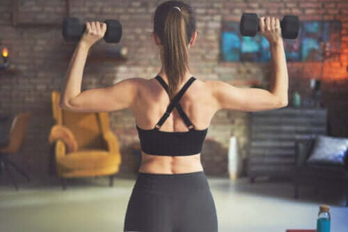 عضلات الظهر - أفضل التمارين باستعمال الأوزان لتعزيزها