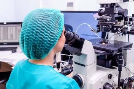 الإخصاب الأنبوبي