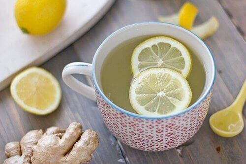 منقوع الفواكه بالماء - عصير الليمون