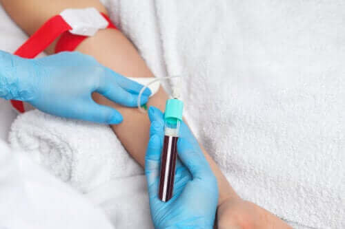 نقل بلازما الدم - تعرّف معنا اليوم على هذه العملية المهمة