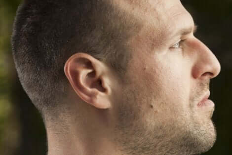 أشكال الأنف المختلفة