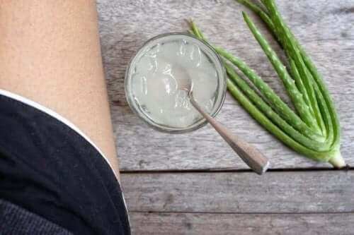 الألوة فيرا