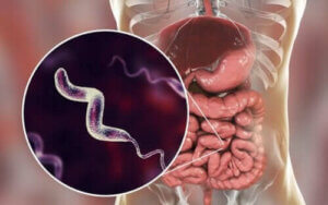 خصائص عدوى العطيفة