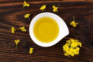كل ما تحتاج إلى معرفته عن زيت الكانولا