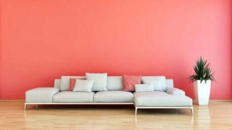 موضات الألوان