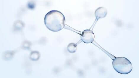 بروتين سم العنكبوت