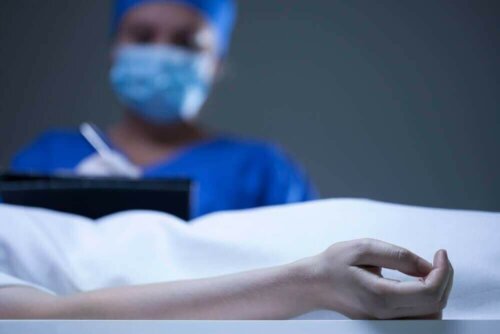 ما هي تقنية التشريح العصبي وما الخطوات التي تشتمل عليها؟