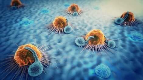 هجرة الخلايا السرطانية