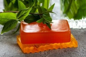 استخدامات وخصائص وموانع استخدام صابون البابايا