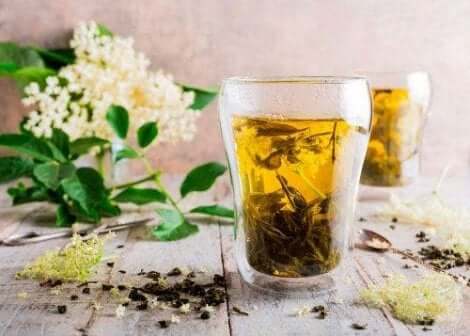 سرع عملية التعافي من اللإنفلونزا مع نبات البيلسان